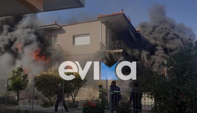 Φωτιά στην Εύβοια