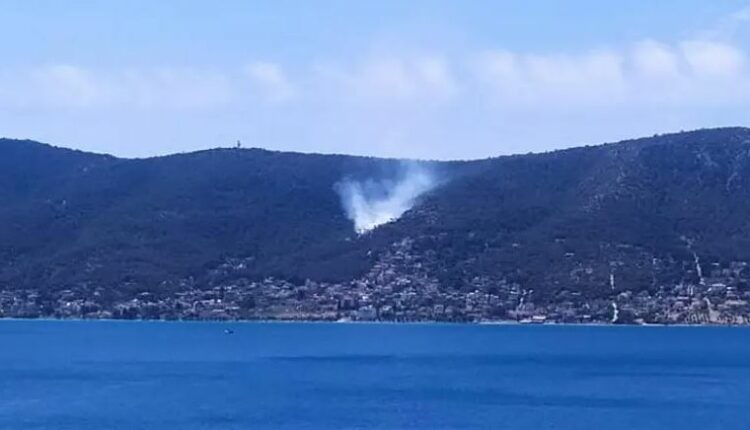 Φωτιά στη Σαλαμίνα