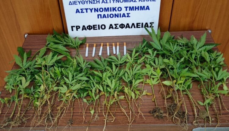 Κάνναβη Θεσσαλονίκη