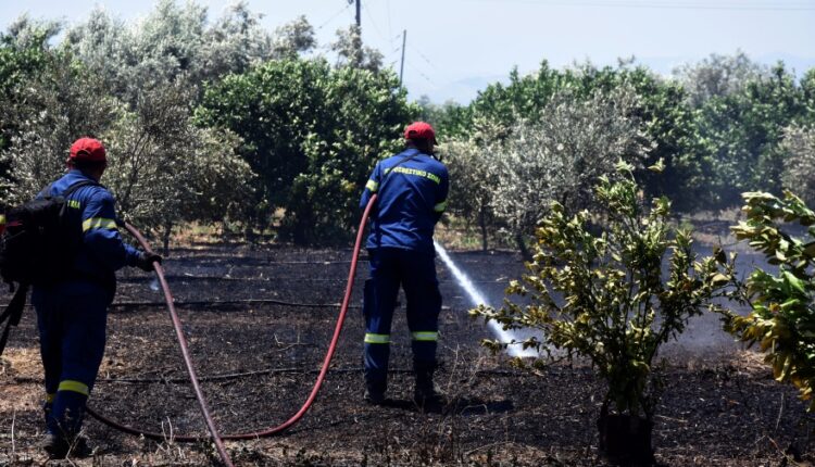 Φωτιά στην Αργολίδα