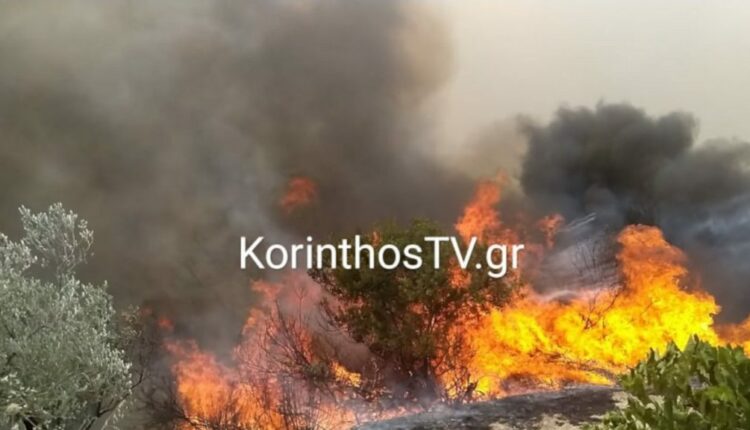 Φωτιά στο Λουτράκι