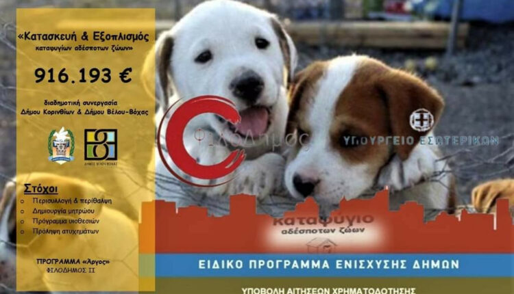 καταφύγιο-ζώων