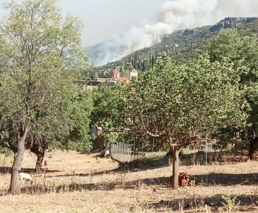 Φωτιά στην Άμφισσα